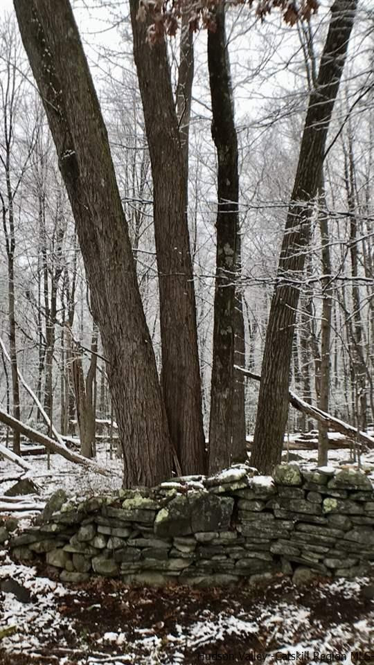 61 Mountain Road Olive, NY 12481 - Photo 18 of 19 Photo 18