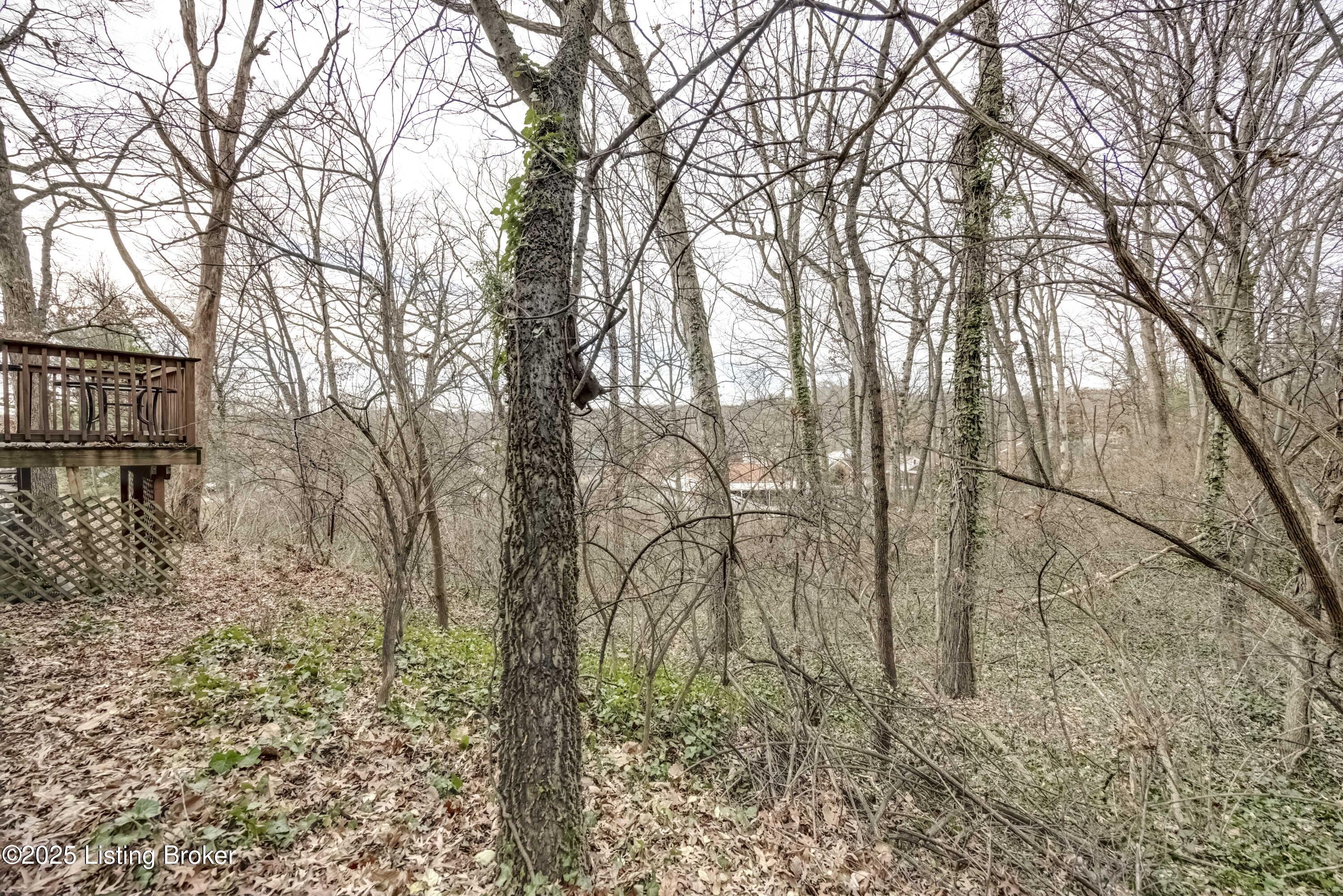 609 Wilderness Road Louisville, KY 40214 - Photo 55 of 65 2Y0A6591-A