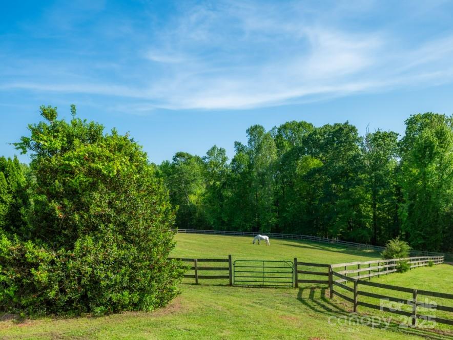 2921 North Pacolet Road Landrum, SC 29356 - Photo 27 of 37 a view of a park with large trees
