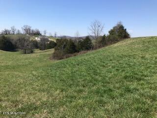 Ruth Circle Sharps Chapel, TN 37866 - Photo 3 of 8 IMG_1642