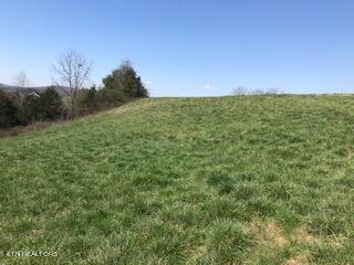 Ruth Circle Sharps Chapel, TN 37866 - Photo 4 of 8 IMG_1641