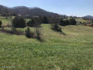 Ruth Circle Sharps Chapel, TN 37866 - Photo 5 of 8 IMG_1640