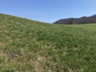 Ruth Circle Sharps Chapel, TN 37866 - Photo 7 of 8 IMG_1652