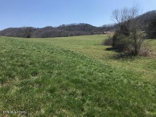 Ruth Circle Sharps Chapel, TN 37866 - Photo 8 of 8 IMG_1653