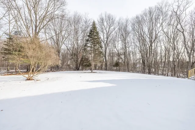 a view of road and trees