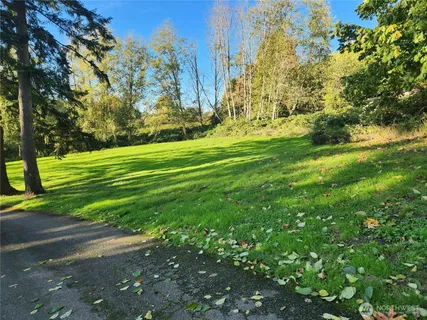 a view of a yard with large trees