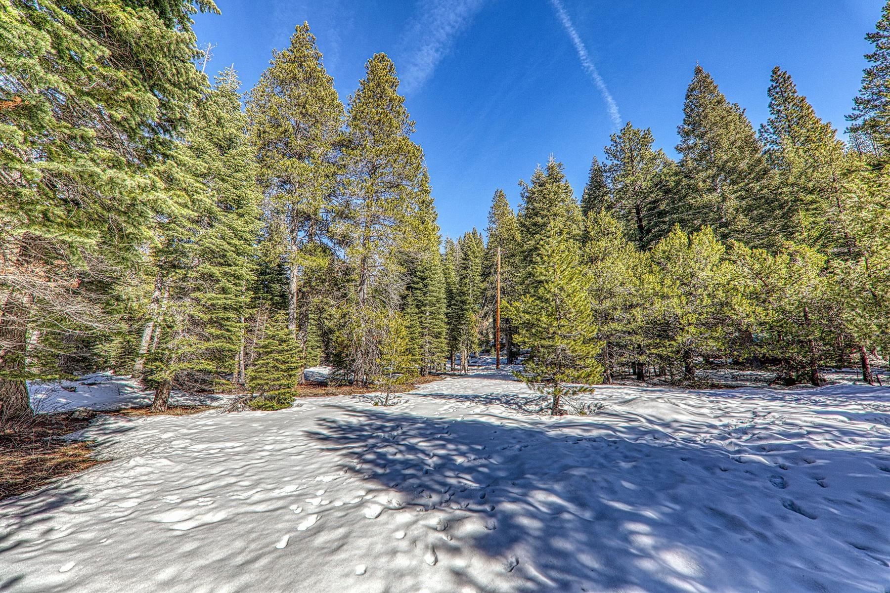 0 River Road Truckee, CA 96161 - Photo 11 of 17