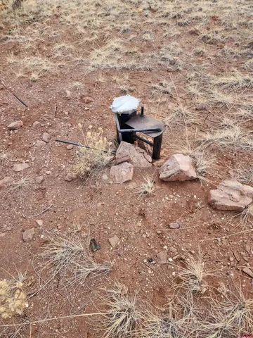 a bench sitting in middle of a yard