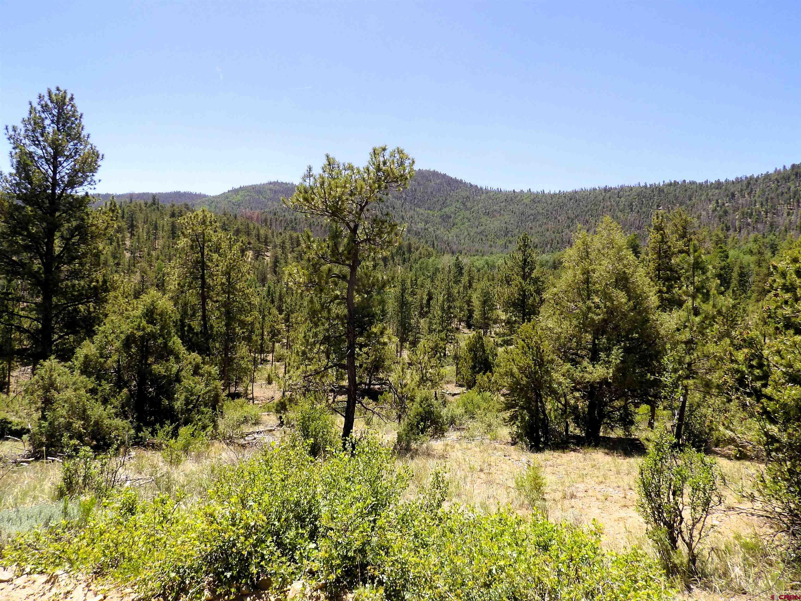 Tbd County Rd LL56 Villa Grove, CO 81155 - Photo 21 of 24 a view of a yard