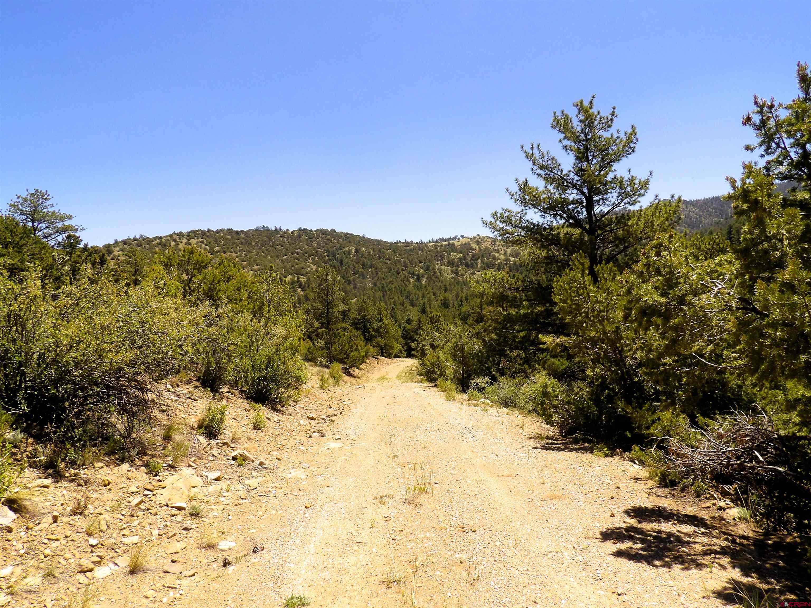 Tbd County Rd LL56 Villa Grove, CO 81155 - Photo 22 of 24 a view of a yard covered in snow