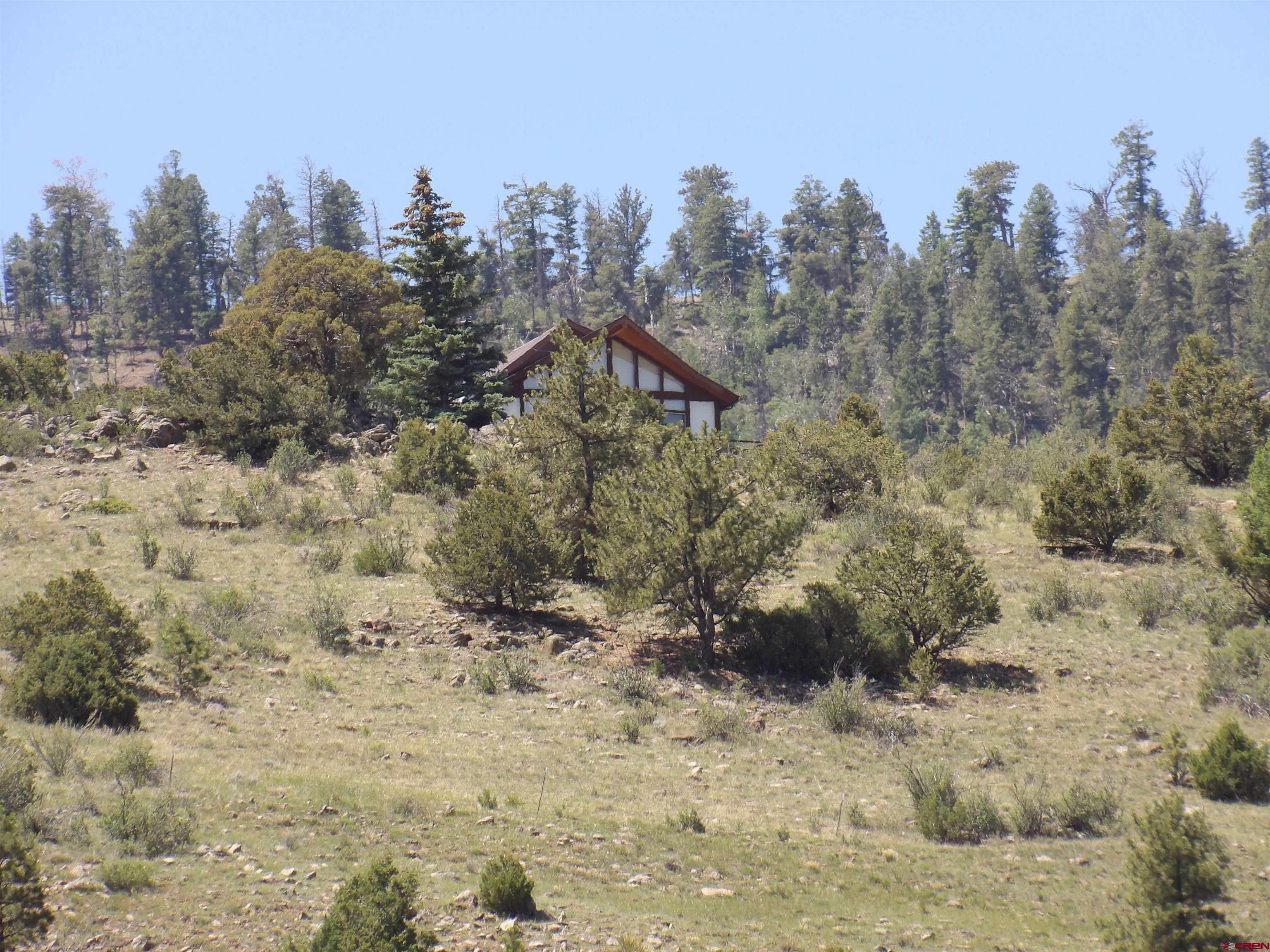 Tbd County Rd LL56 Villa Grove, CO 81155 - Photo 23 of 24 a view of a dry field with trees in the background