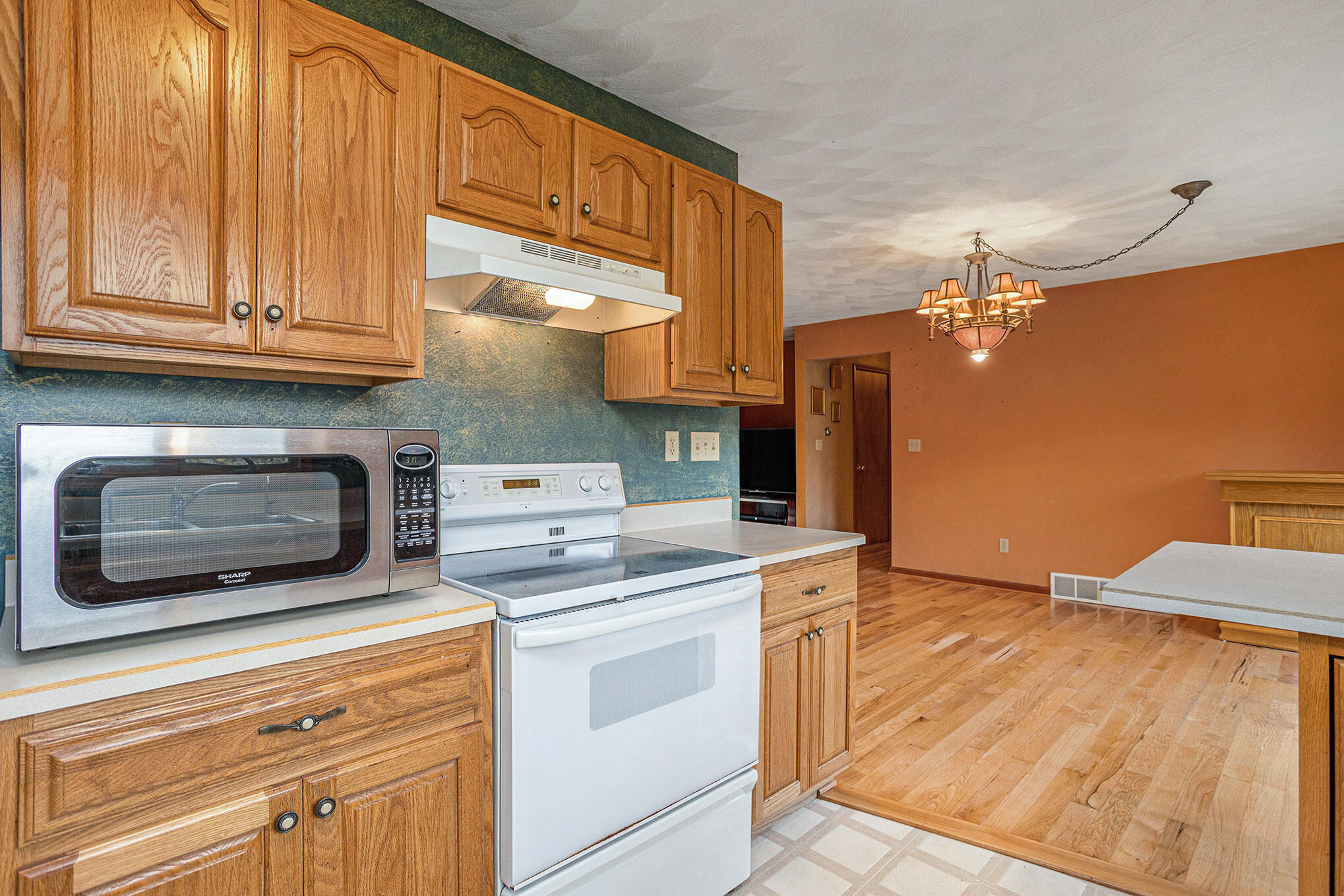 18830 Homer Road Marshall, MI 49068 - Photo 10 of 25 18830-Homer-Rd,-Marshall,-MI-49068-9