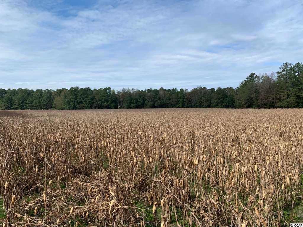 64.10-ac St James Road Hemingway, SC 29554 - Photo 1 of 9