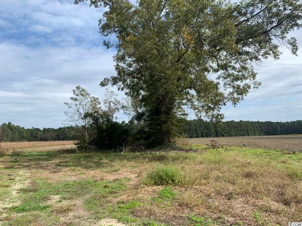 64.10-ac St James Road Hemingway, SC 29554 - Photo 3 of 9