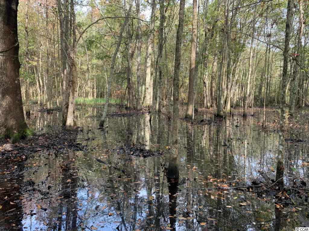 64.10-ac St James Road Hemingway, SC 29554 - Photo 4 of 9