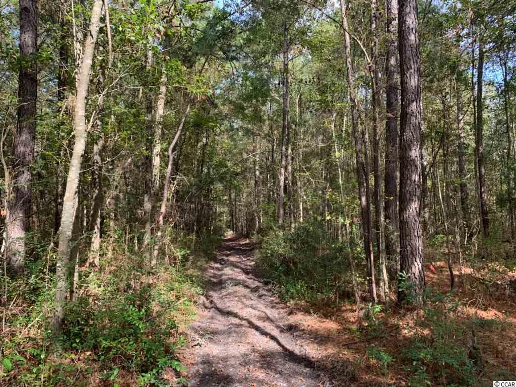 64.10-ac St James Road Hemingway, SC 29554 - Photo 7 of 9