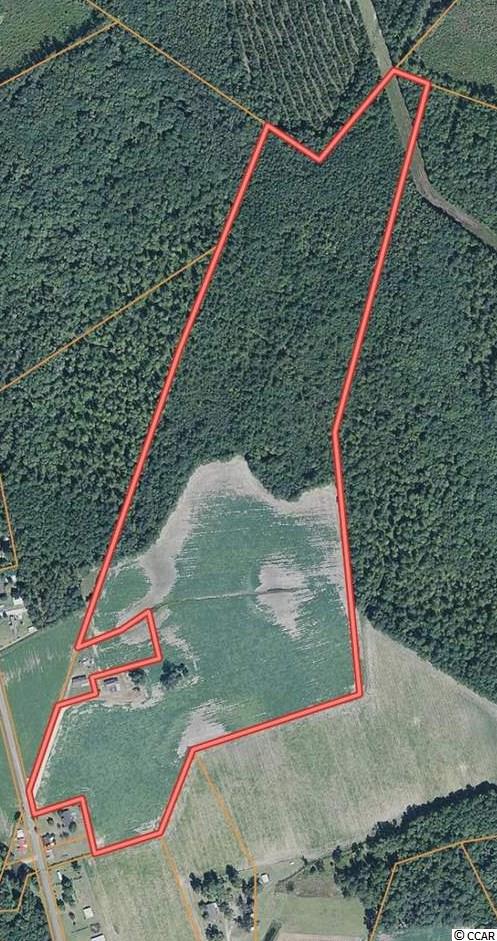 64.10-ac St James Road Hemingway, SC 29554 - Photo 9 of 9
