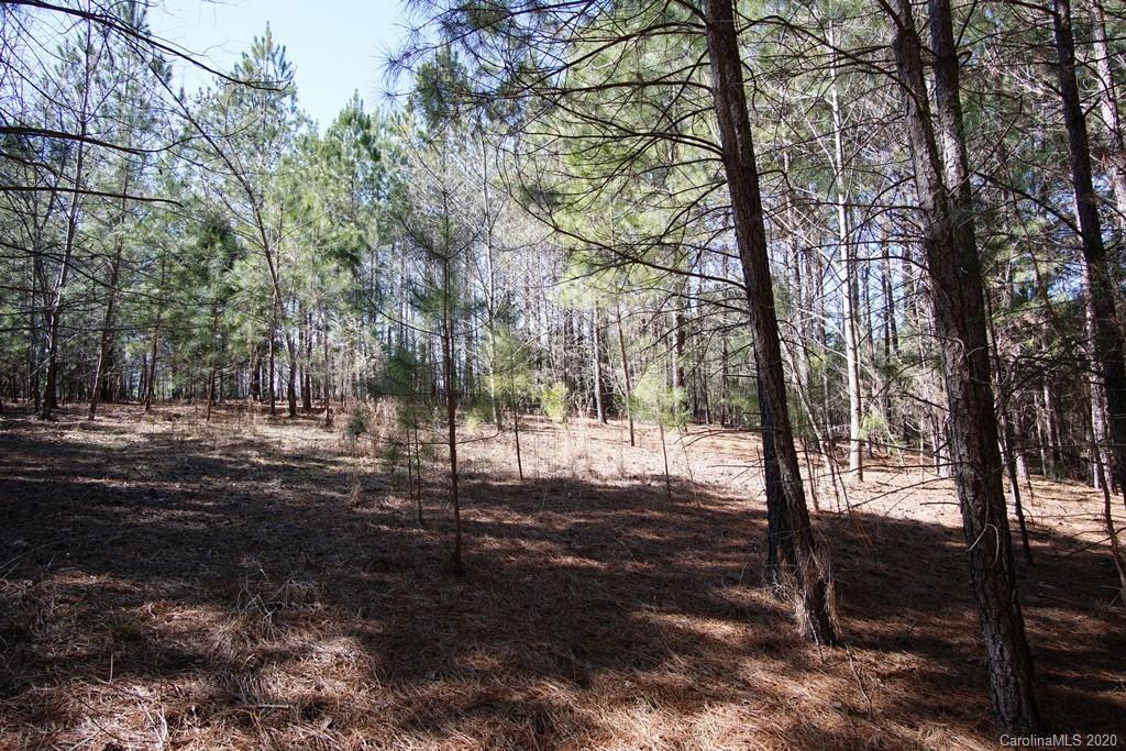Tbd Greens Road, Unit 167 Granite Falls, NC 28630 - Photo 1 of 10 Gallery Image 1