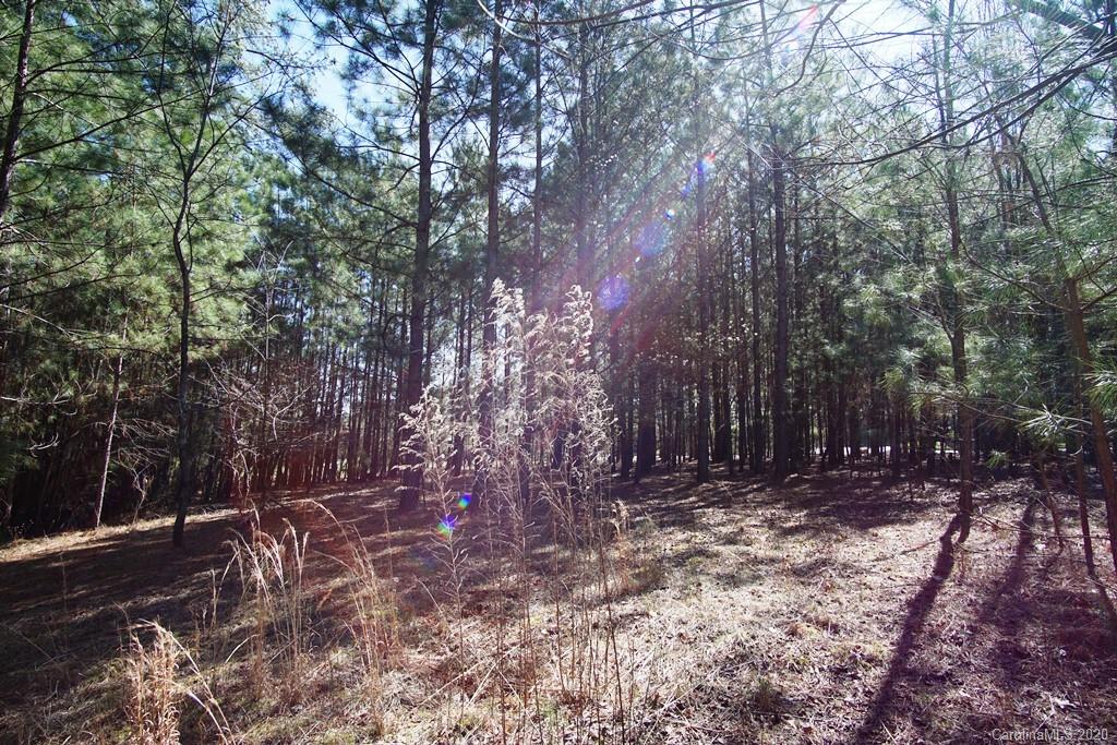 Tbd Greens Road, Unit 167 Granite Falls, NC 28630 - Photo 2 of 10 Gallery Image 2