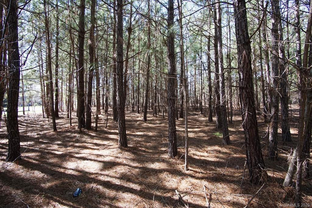 Tbd Greens Road, Unit 167 Granite Falls, NC 28630 - Photo 3 of 10 Gallery Image 3