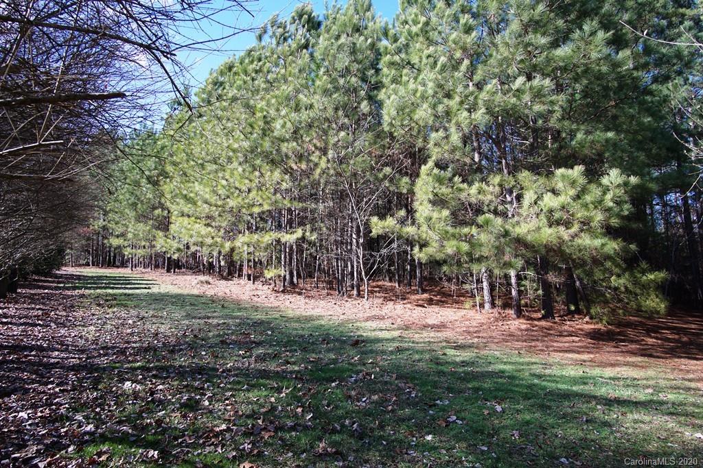 Tbd Greens Road, Unit 167 Granite Falls, NC 28630 - Photo 4 of 10 Gallery Image 4