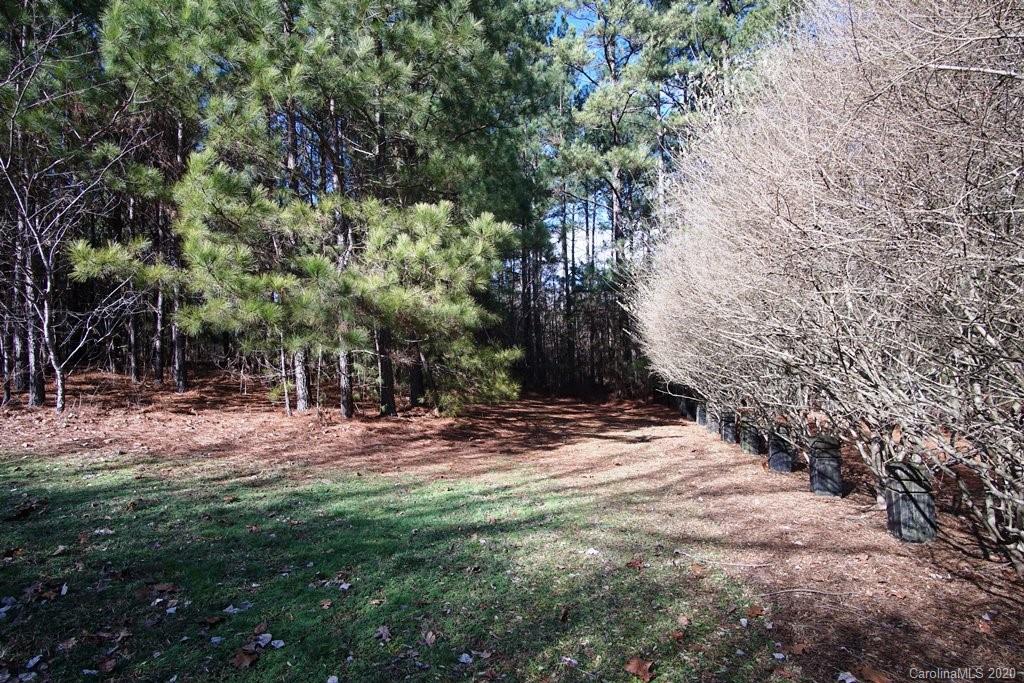 Tbd Greens Road, Unit 167 Granite Falls, NC 28630 - Photo 5 of 10 Gallery Image 5