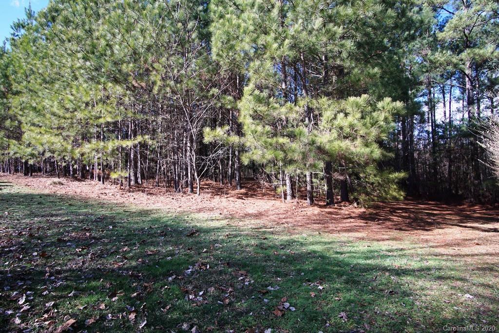 Tbd Greens Road, Unit 167 Granite Falls, NC 28630 - Photo 6 of 10 Gallery Image 6