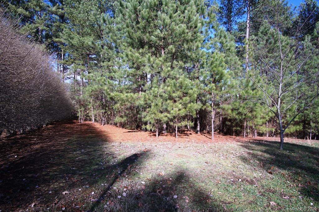 Tbd Greens Road, Unit 167 Granite Falls, NC 28630 - Photo 7 of 10 Gallery Image 7