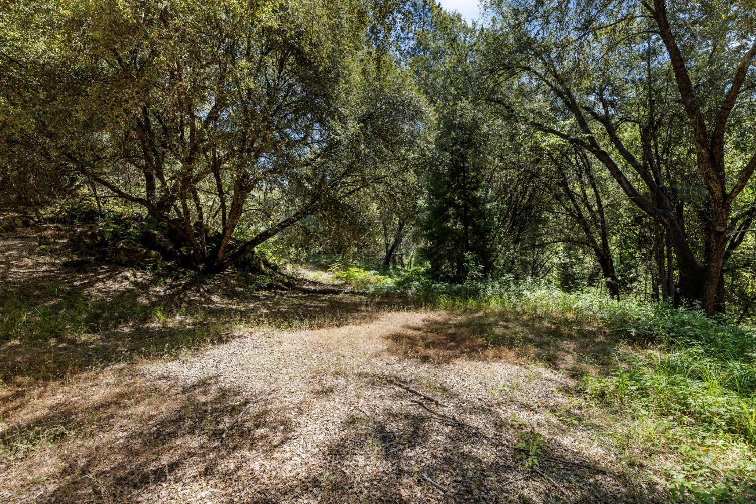0 Cosumnes View Trail Placerville, CA 95667 - Photo 8 of 14 a view of a yard with plants and trees
