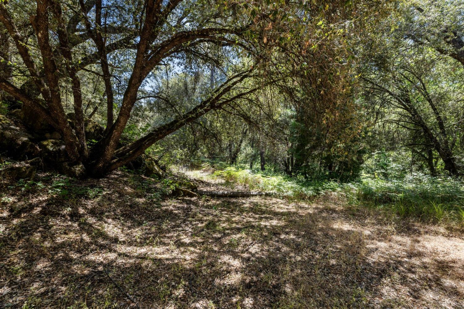 0 Cosumnes View Trail Placerville, CA 95667 - Photo 9 of 14 a view of outdoor space and trees