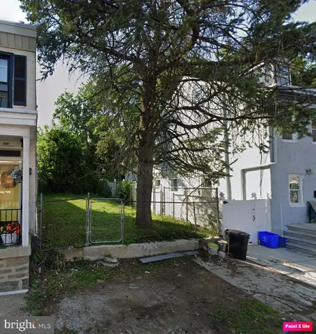 a view of a park that has a large tree