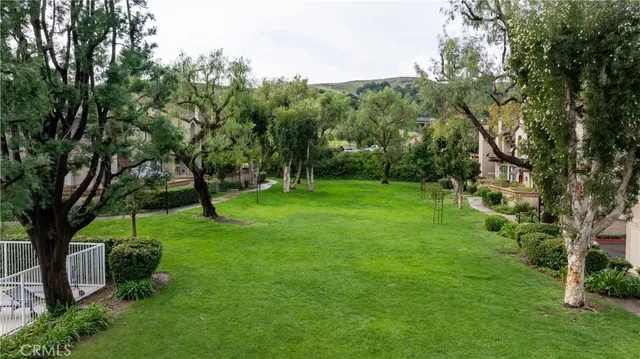 a view of a backyard with large trees