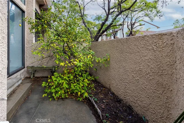 a view of a garden with plants
