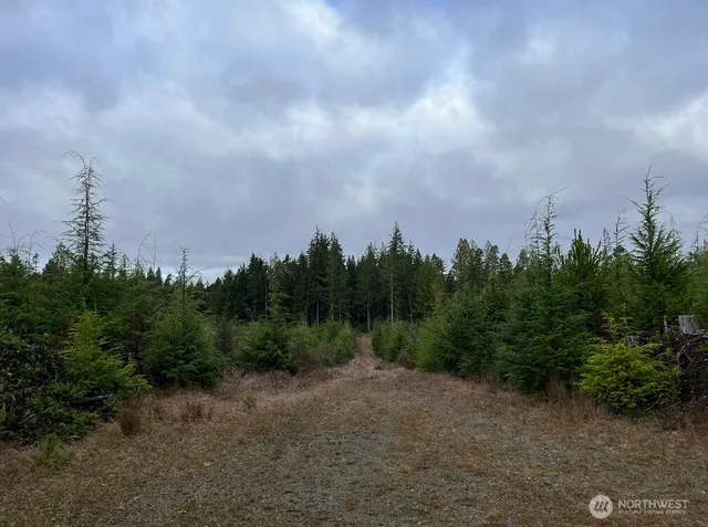 $900,000 | 0 Th, Humptulips, WA 98552