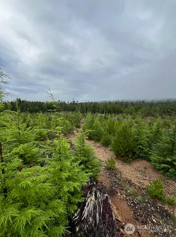a view of a field with an ocean