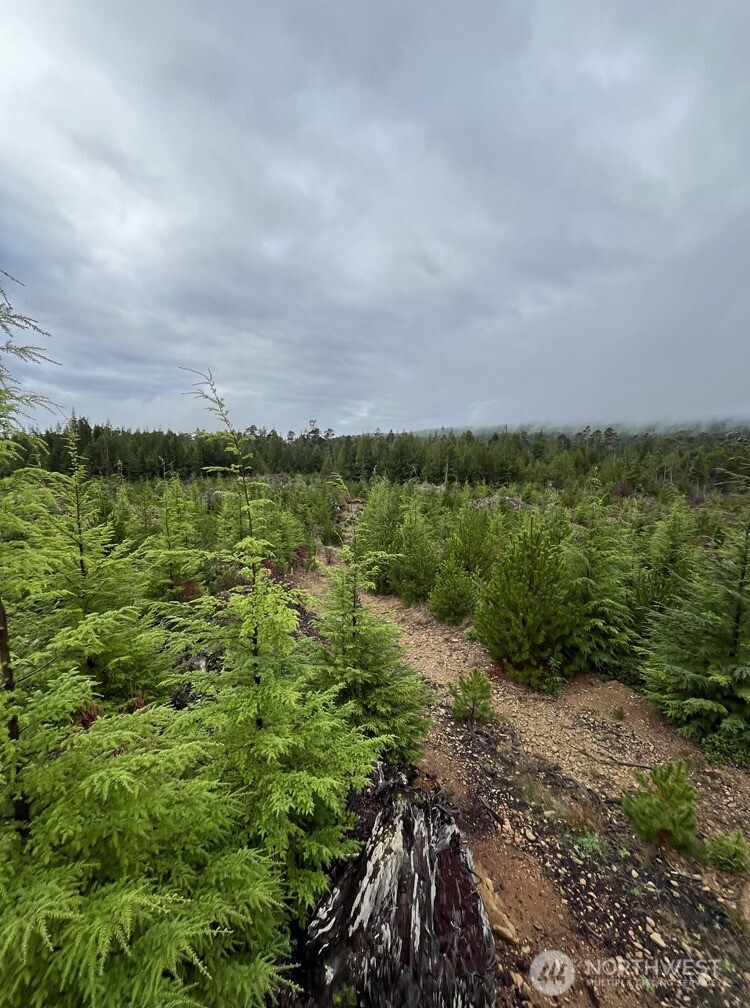 0 Th Humptulips, WA 98552 - Photo 2 of 9