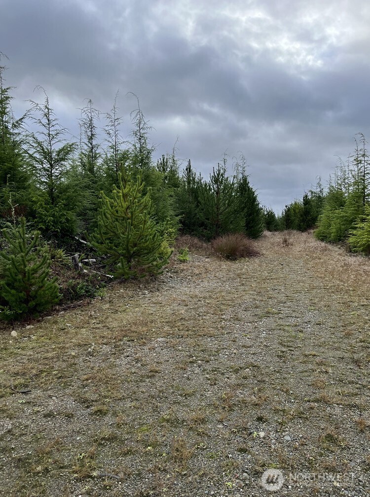 0 Th Humptulips, WA 98552 - Photo 3 of 9