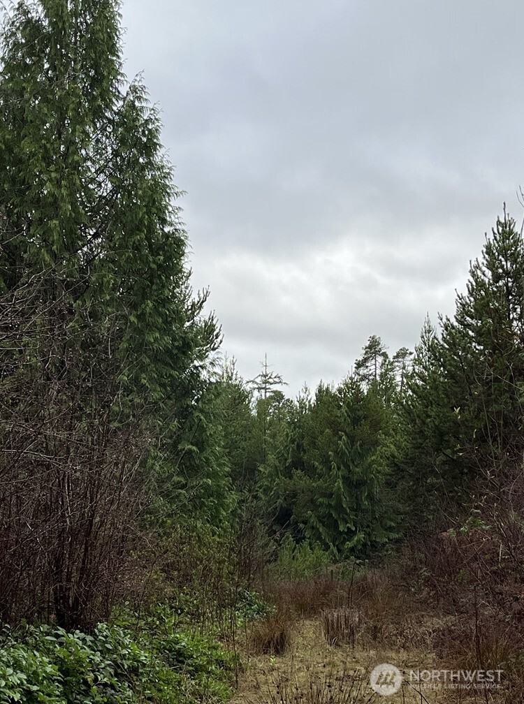 0 Th Humptulips, WA 98552 - Photo 7 of 9