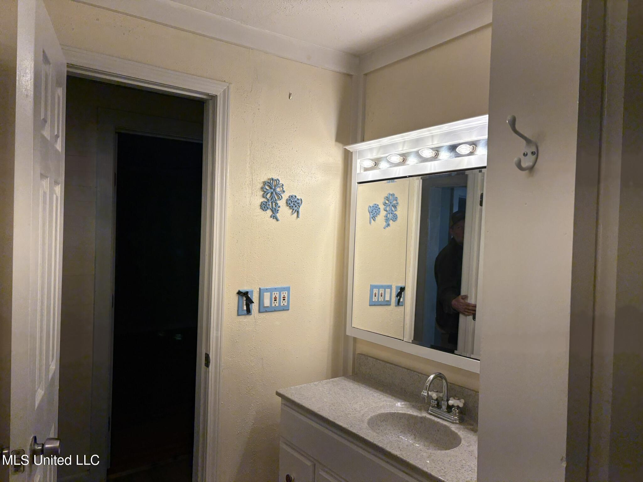 481 Macedonia Road Mendenhall, MS 39114 - Photo 30 of 70 IMG_2889