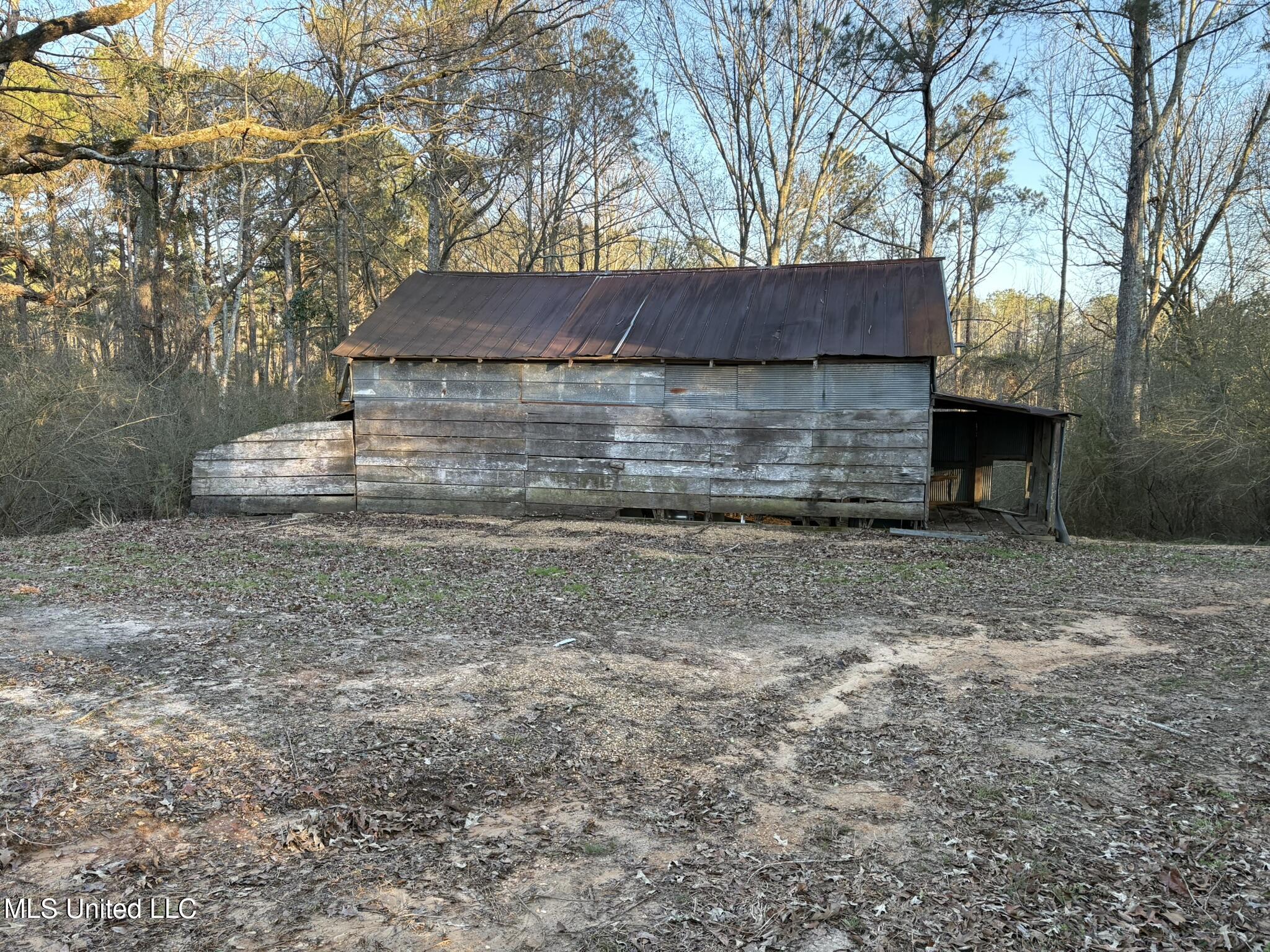 481 Macedonia Road Mendenhall, MS 39114 - Photo 48 of 69 IMG_3004