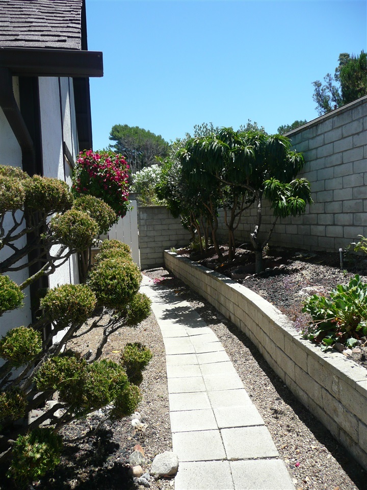 16297 Gabarda Road Rancho Bernardo, CA 92128 - Photo 16 of 25 Tidy side yard.