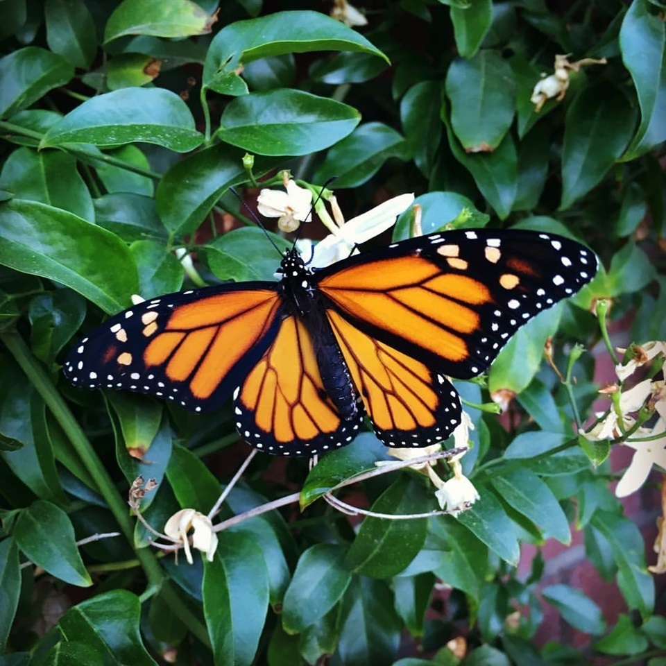 16297 Gabarda Road Rancho Bernardo, CA 92128 - Photo 25 of 25 See you soon!