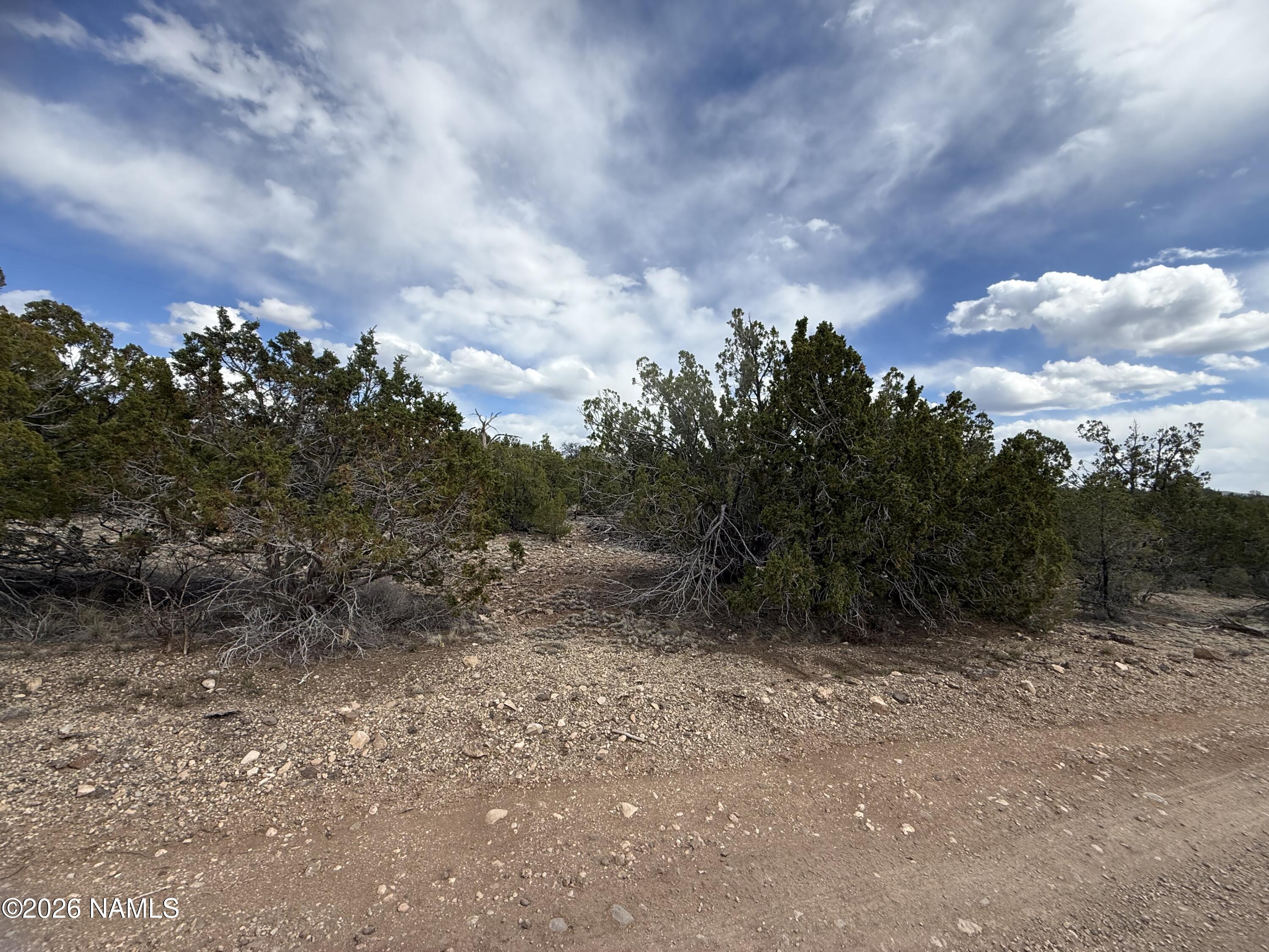 12581 North Chino Road Williams, AZ 86046 - Photo 15 of 15 IMG_5263