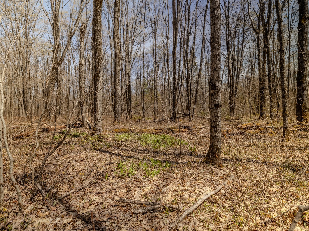 Lot 2 East Shore Road Bergland, MI 49910 - Photo 10 of 25