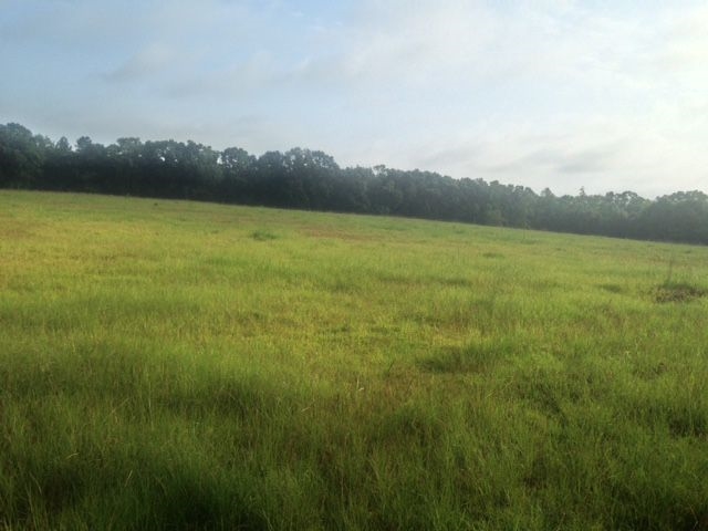 Xxx Wadesboro Road Winston, GA 30187 - Photo 3 of 12