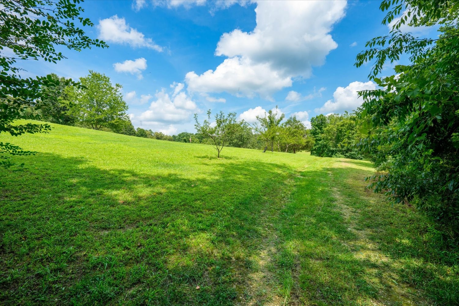 124 Napier Road Hohenwald, TN 38462 - Photo 72 of 83
