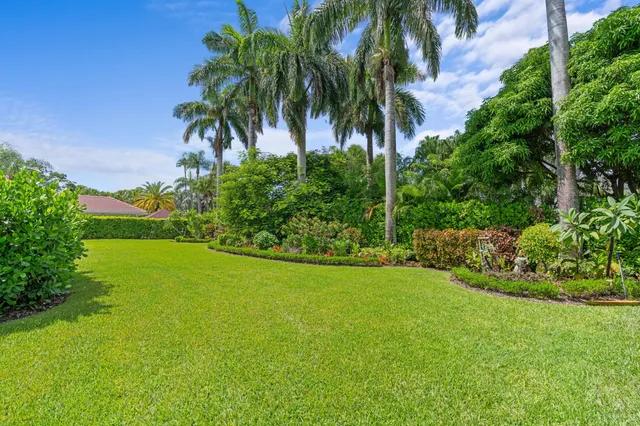 a view of a garden with a palm tree