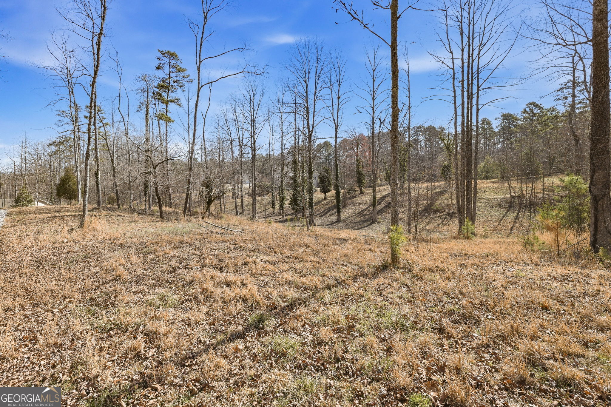 1046 Chase Road Cornelia, GA 30531 - Photo 47 of 61