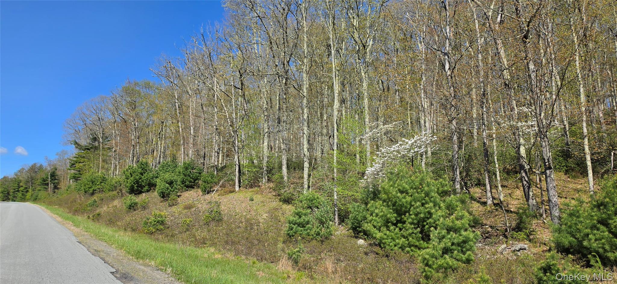 Lot 82 Perry Pond Road Narrowsburg, NY 12764 - Photo 11 of 14