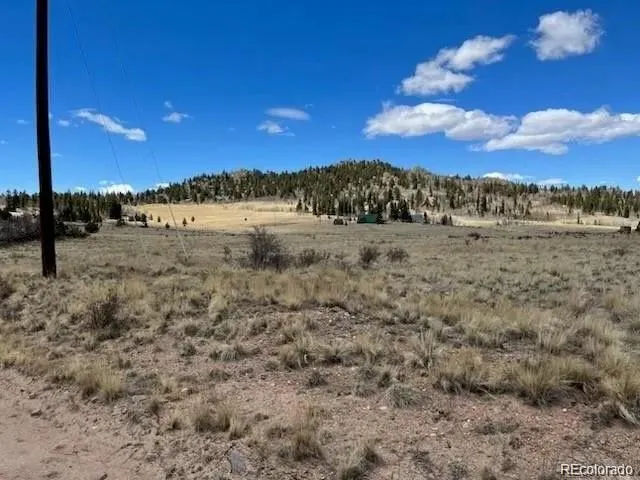 a view of a dry yard with wooden fence